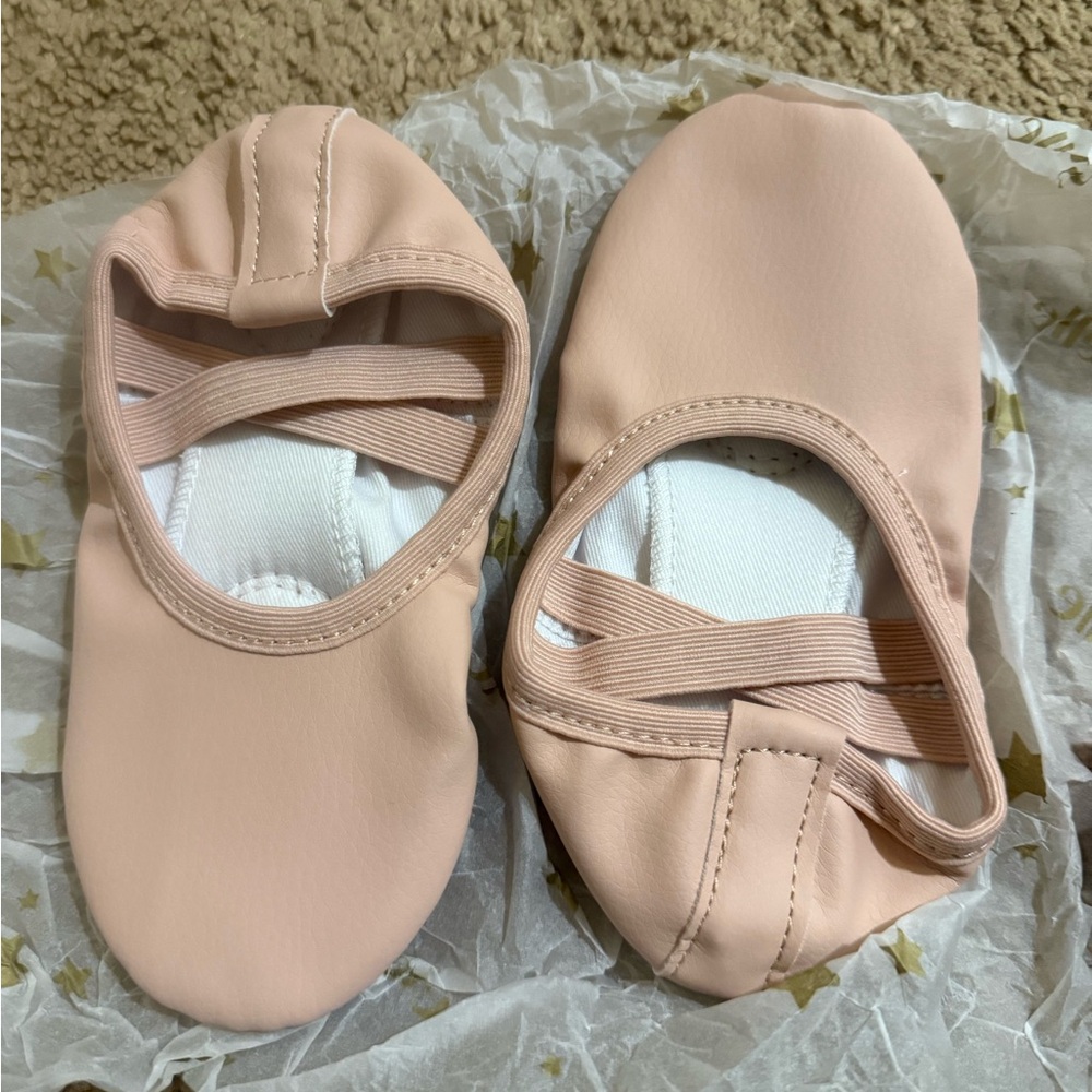 Pink Ballet Slippers